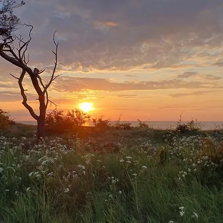 펜션 